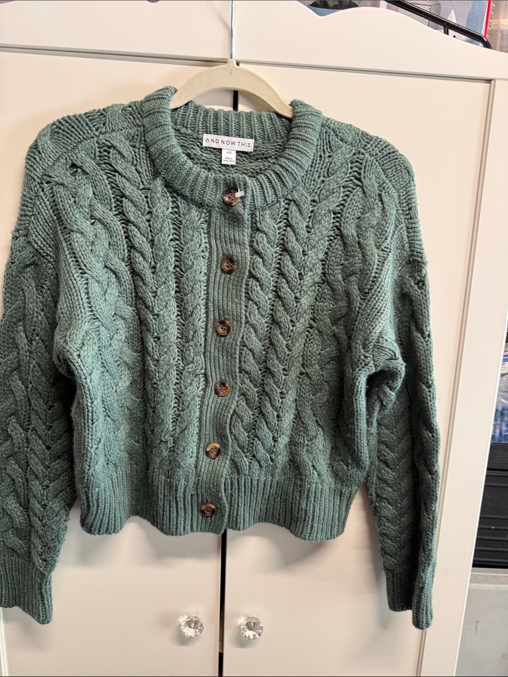 And Now This Sage Cable-Knit Button Cardigan
